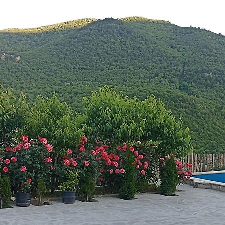 Green Garden Կանաչ Այգի Ijevan Exterior photo