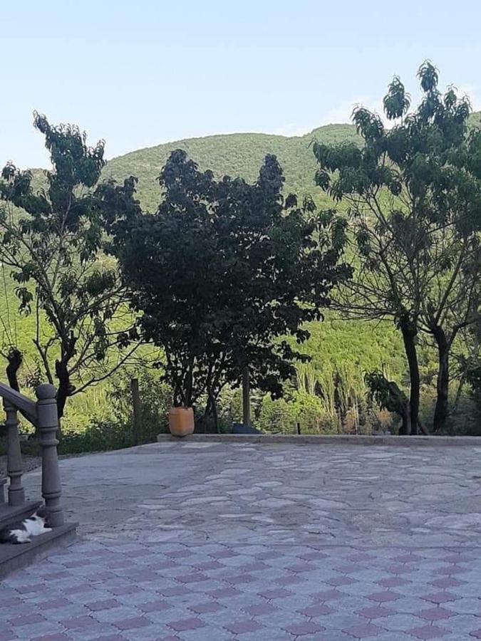 Green Garden Կանաչ Այգի Ijevan Exterior photo