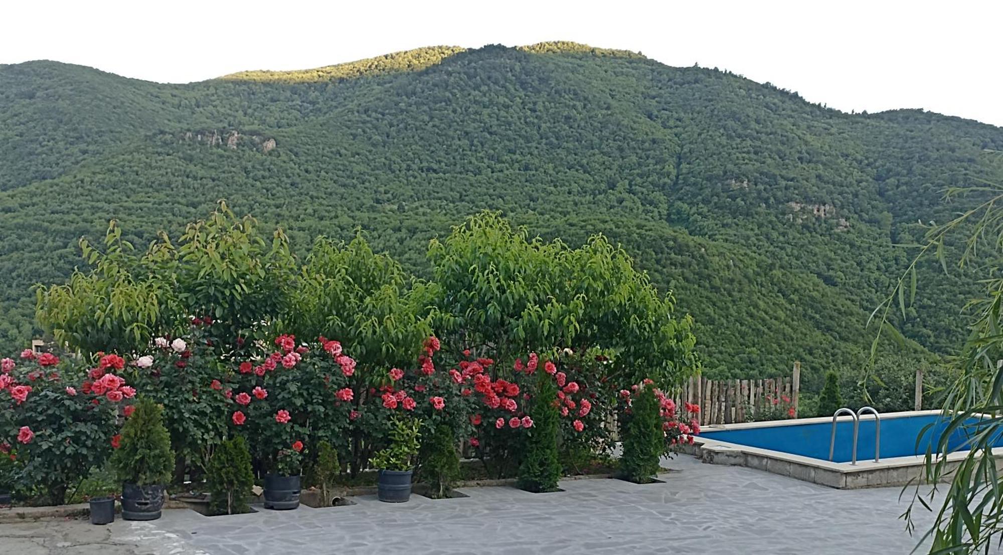 Green Garden Կանաչ Այգի Ijevan Exterior photo