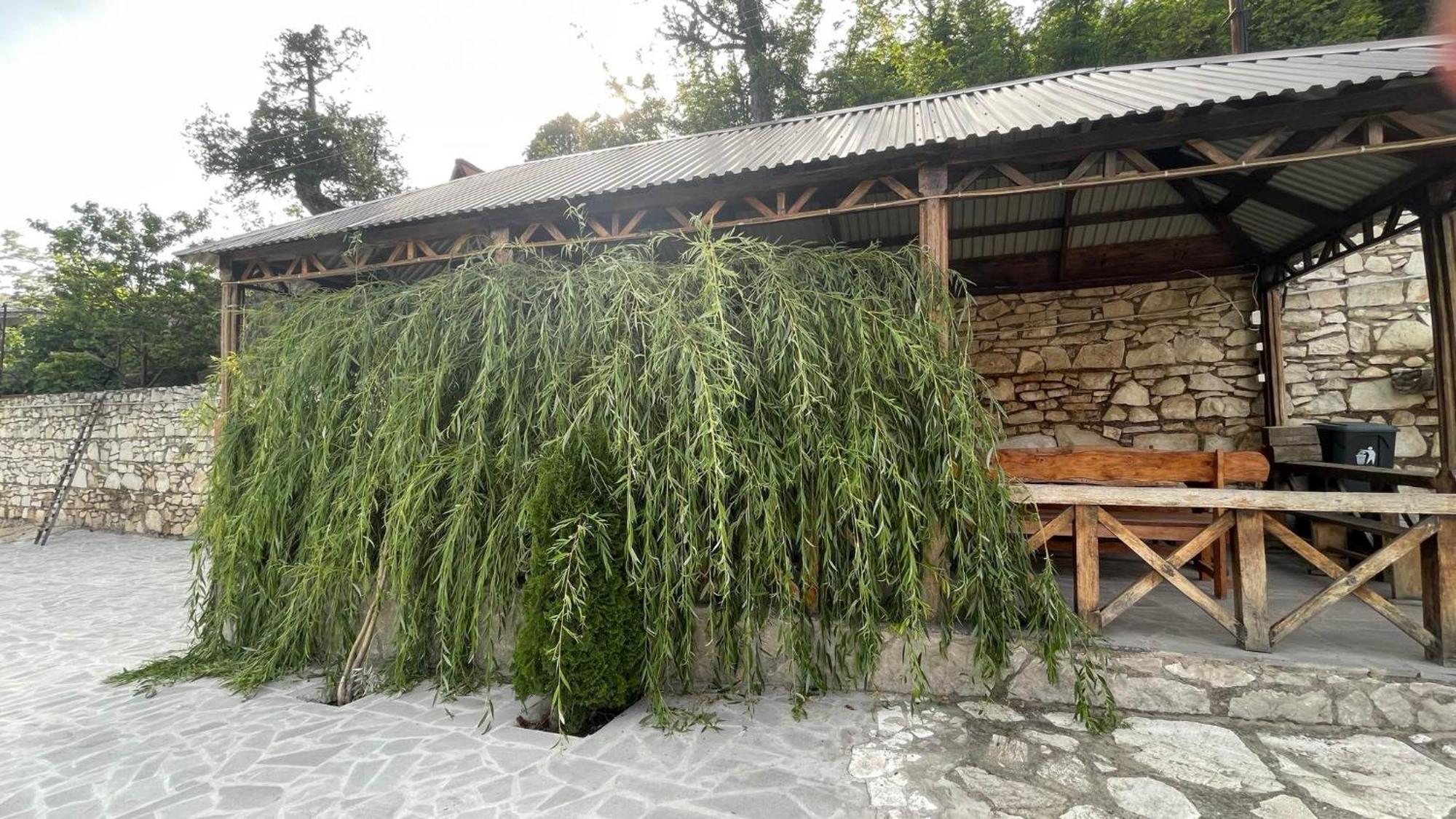 Green Garden Կանաչ Այգի Ijevan Exterior photo