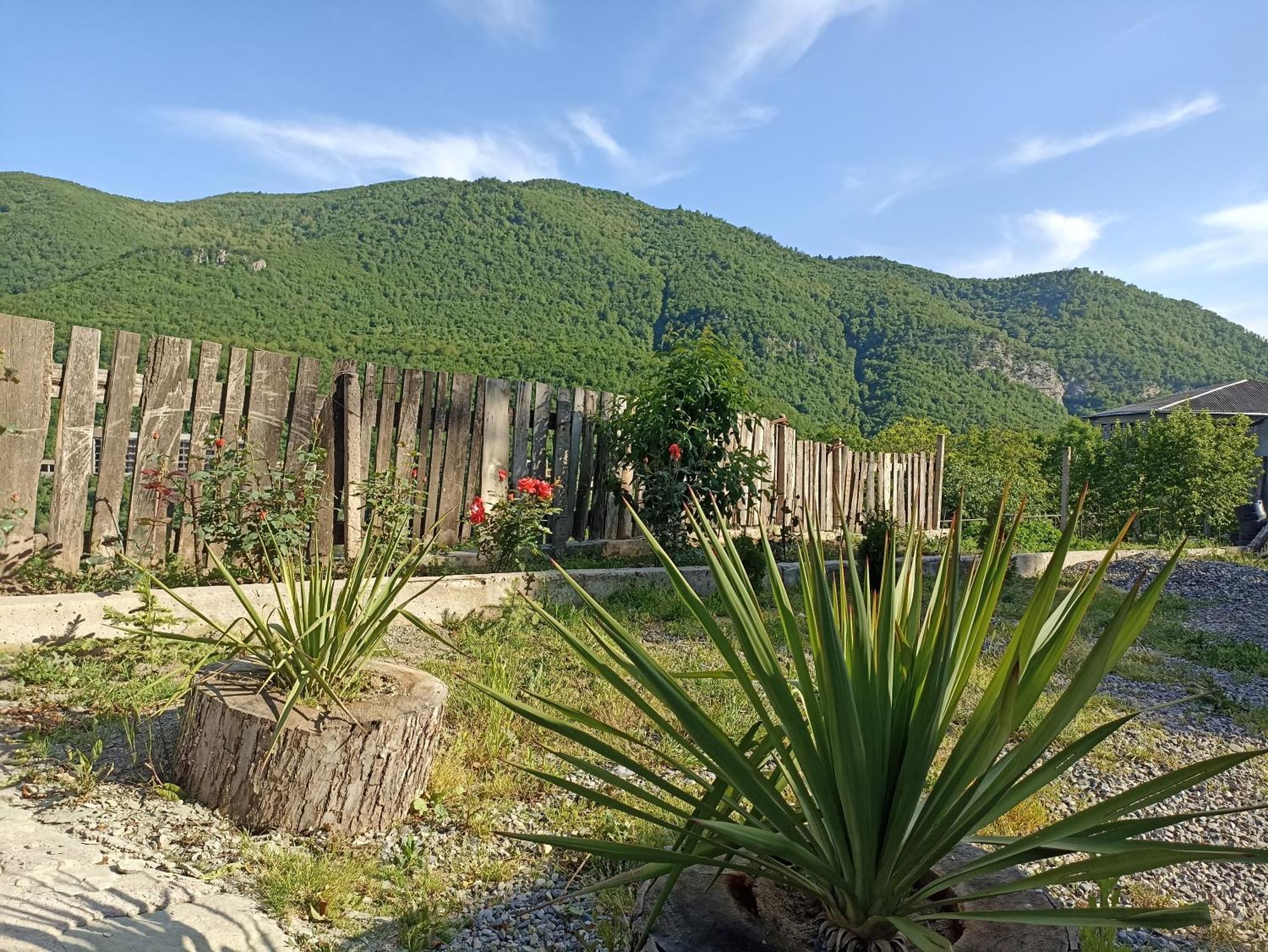 Green Garden Կանաչ Այգի Ijevan Exterior photo