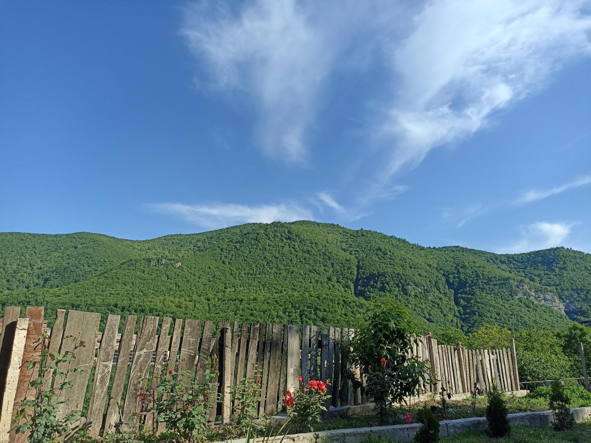 Green Garden Կանաչ Այգի Ijevan Exterior photo