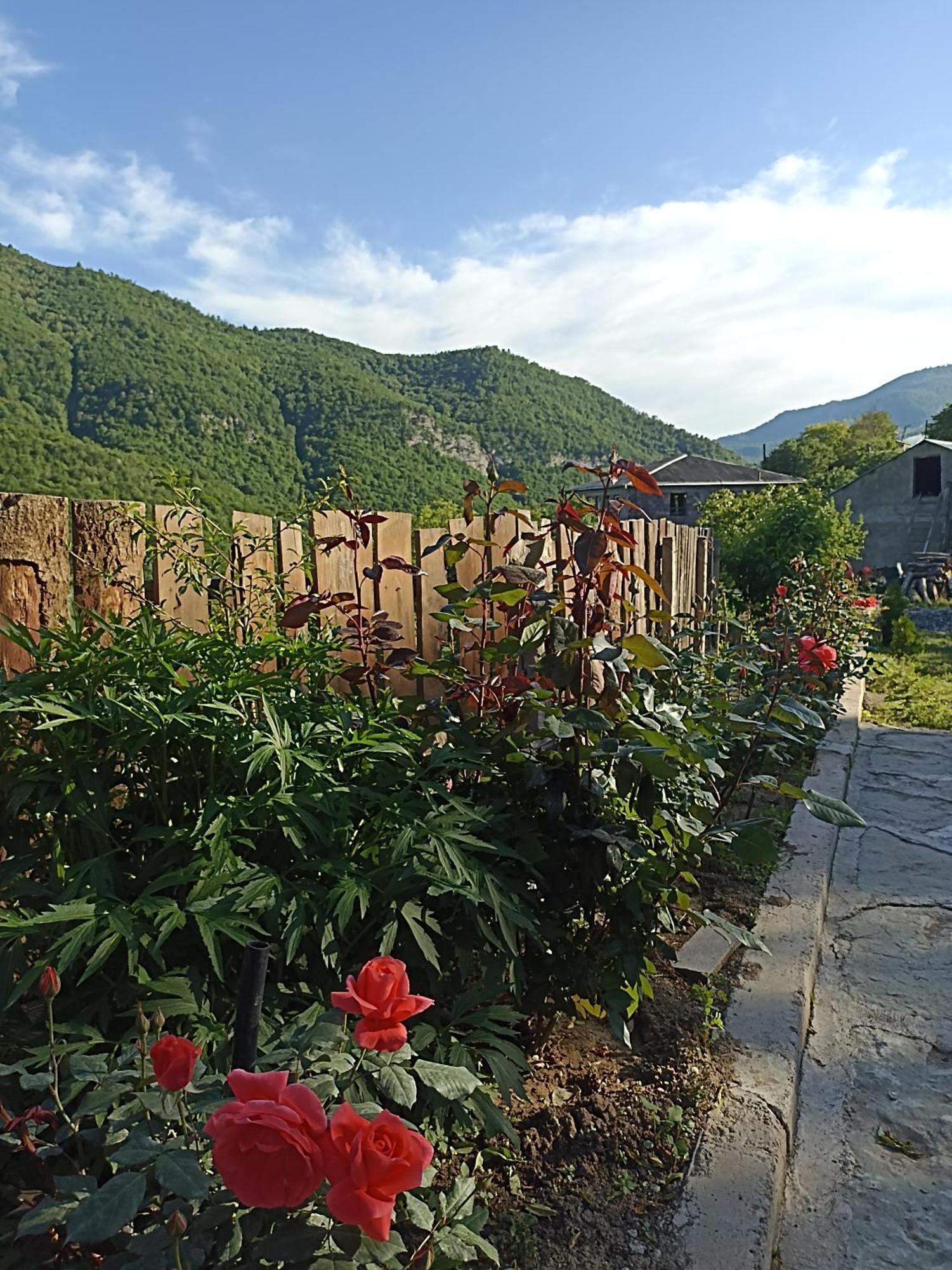 Green Garden Կանաչ Այգի Ijevan Exterior photo