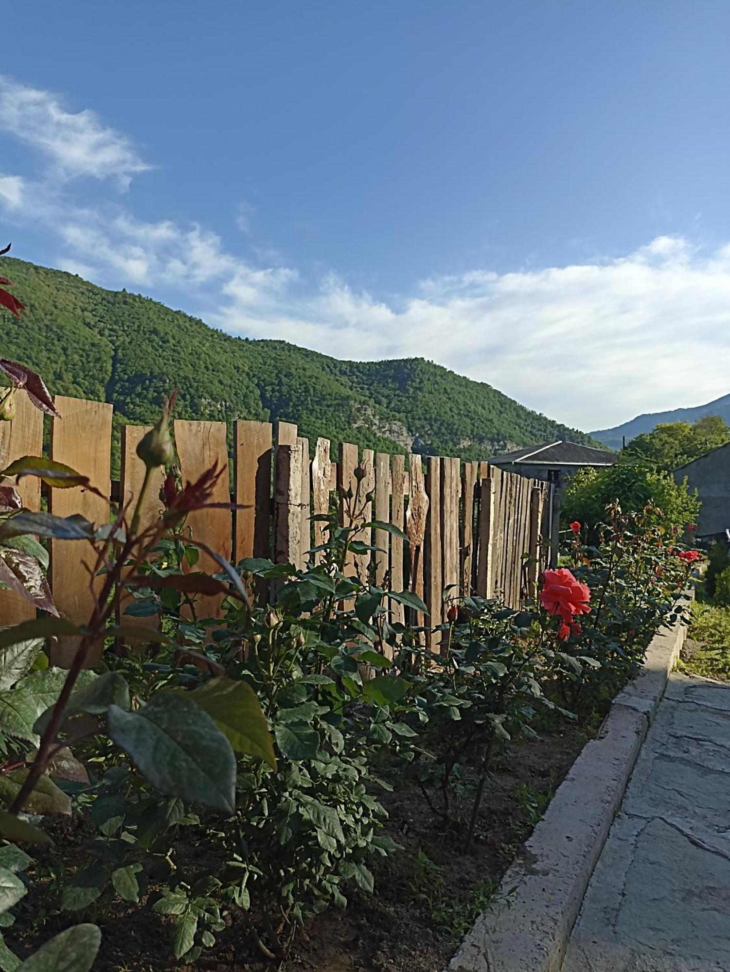 Green Garden Կանաչ Այգի Ijevan Exterior photo